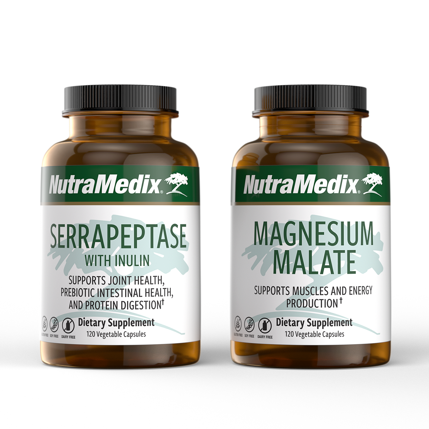 Fitness Supportᶧ Bundle