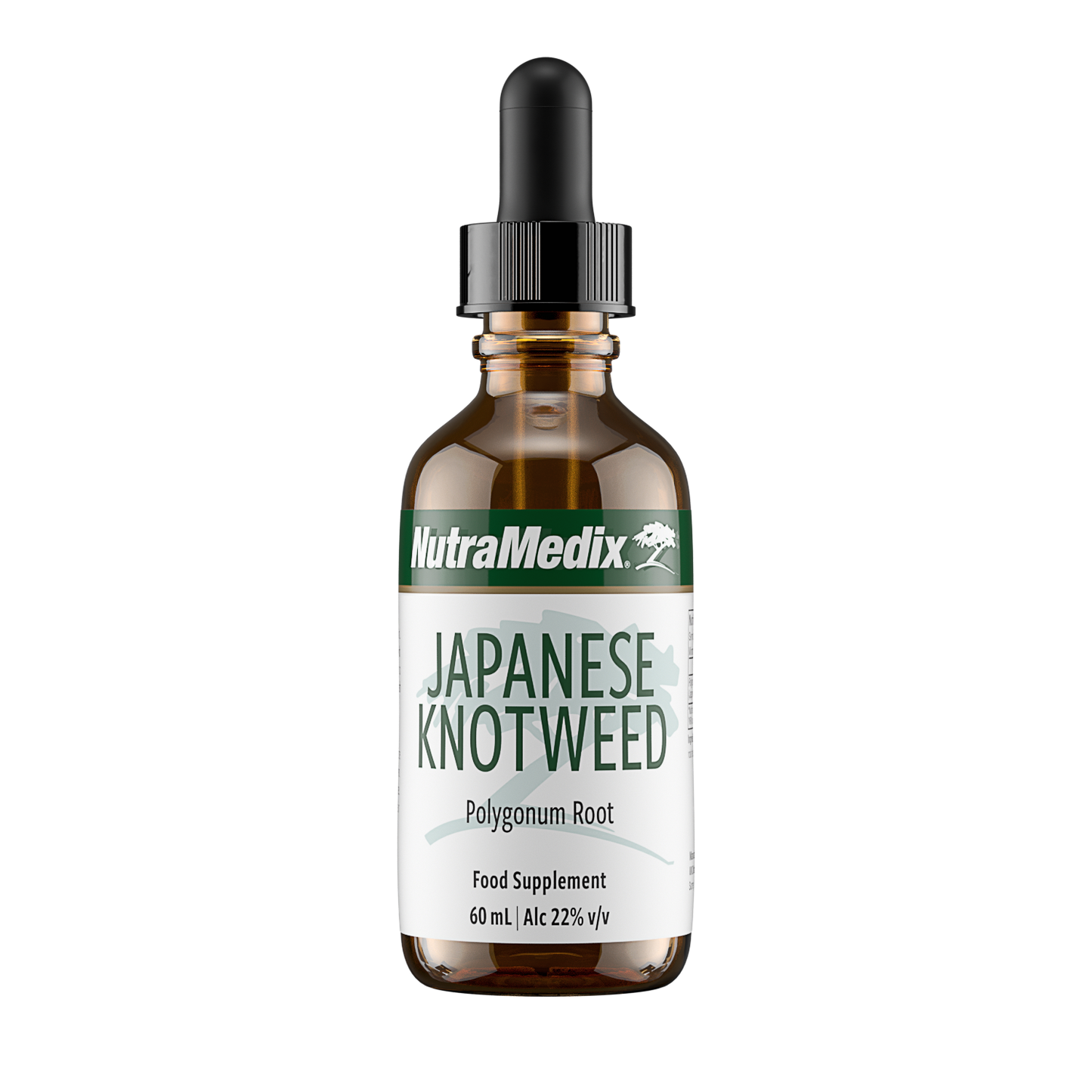 Japanese Knotweed