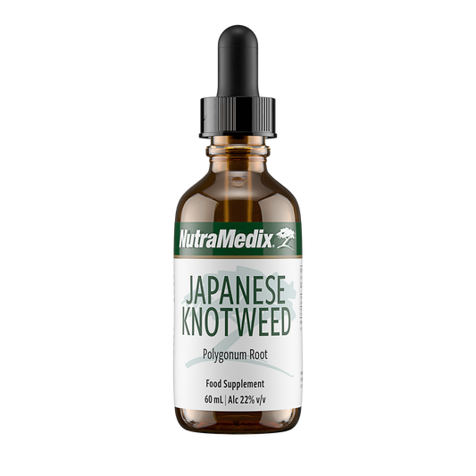 Japanese Knotweed
