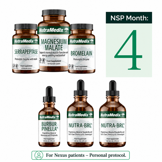 Nexus Support Program Month - 4